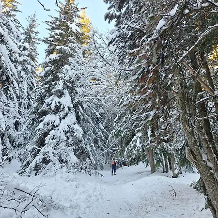 דירה La Parenthese - Calme 100m Pistes Montagne Randonnees Pyrenees *