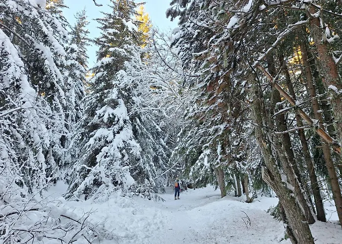 דירה La Parenthese - Calme 100m Pistes Montagne Randonnees Pyrenees *